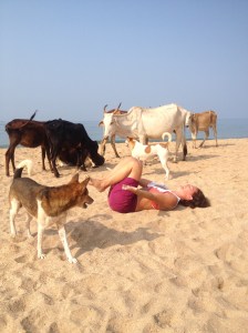 Aaaaaaand here come the dogs, not ones to be left out at all. No. Collapse. 