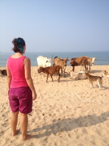 Asking the cows and dogs nicely to let me come play amongst them